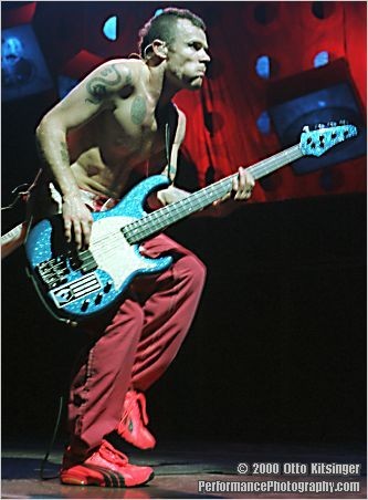 flea